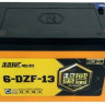 Тяговый гелевый аккумулятор CHILWEE 6-DZF-13 "BLACK GOLD"